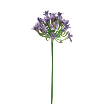 Dekoblume Agapanthus ASONG, lila-blau, 75cm