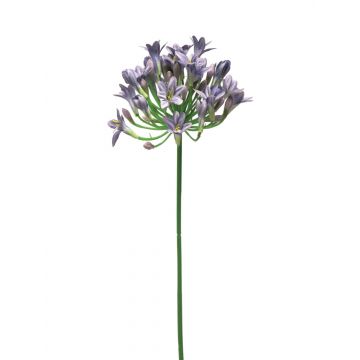 Dekoblume Agapanthus ASONG, lila, 75cm