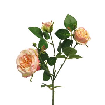 Deko Zweig Rose SHIYUN, pfirsich-rosa, 60cm