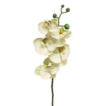 Kunstzweig Phalaenopsis Orchidee SONGYA, weiß, 55cm