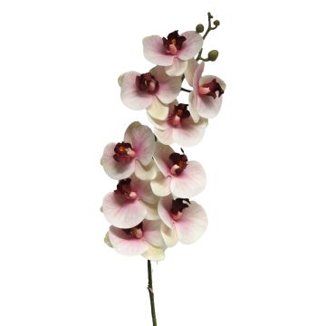 Kunstzweig Phalaenopsis Orchidee SONGYA, pink-creme, 105cm