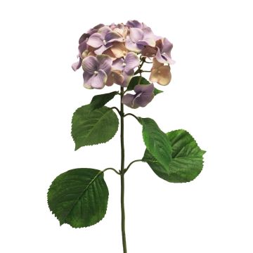 Kunstblume Hortensie MEITAO, lila-pfirsich, 70cm