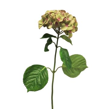 Kunstblume Hortensie MEITAO, grün-pink, 70cm