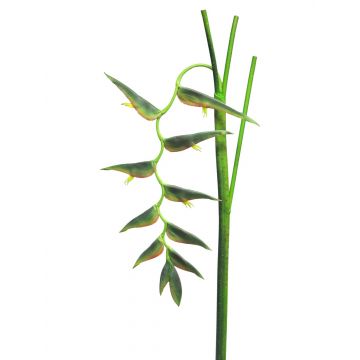 Deko Blume Heliconia Blüte JIANG, dunkelgrün, 130cm