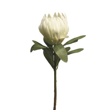 Dekoblume Protea JIAHUI, weiß, 70cm