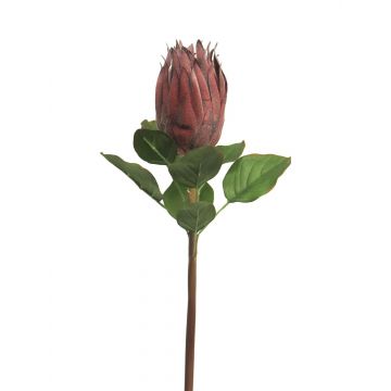 Unechte Protea SHUHUI, rot, 60cm