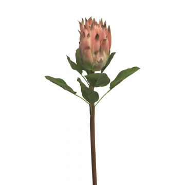 Unechte Protea SHUHUI, pink, 60cm