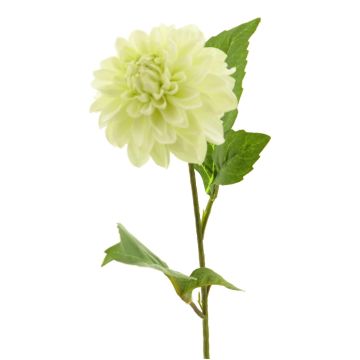 Künstliche Blume Dahlie WANRU, creme, 50cm, Ø9cm