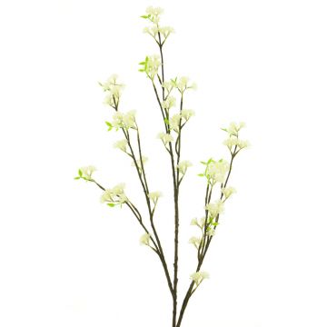 Dekozweig Zaubernuss DEBAO mit Blüten, creme, 125cm