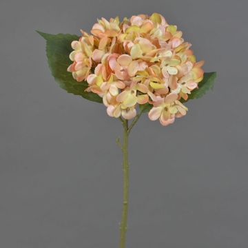Kunstblume Hortensie QILIN, hellgelb-pfirsich, 35cm, Ø15cm