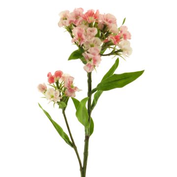 Kunstblumen Zweig Bartnelke YUFENG, rosa-weiß, 60cm