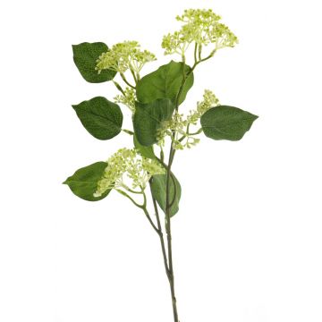 Künstlicher Zweig Hartriegel RUHUA, creme-grün, 65cm