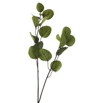 Deko Zweig Eukalyptus AOSHAN, grün, 80cm