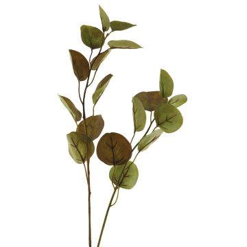 Deko Zweig Eukalyptus AOSHAN, braun-grün, 80cm