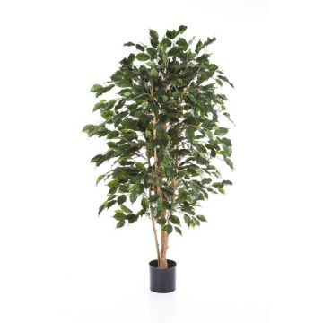 Künstlicher Ficus Benjamina THIAGO, Naturstämme, schwer brennbar, grün, 120cm