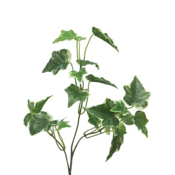 Dekozweig Efeu LANSHUO, grün-weiß, 55cm