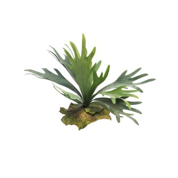 Künstliche Pflanze Geweihfarn MIAOLI, Steckstab, grün, 25cm