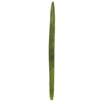 Künstlicher Schilfgras Halm YUTING, grün, 80cm