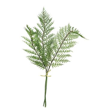 Dekobündel Frauenfarn Blätter YUNSHUO, grün, 65cm