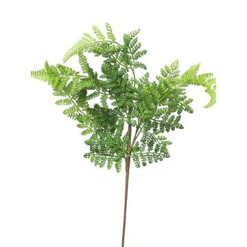 Dekozweig Frauenfarn XINTIAN, grün, 55cm