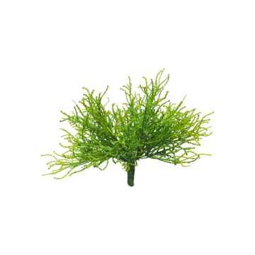 Fake Pflanze Heiligenkraut LING auf Steckstab, grün, 18cm