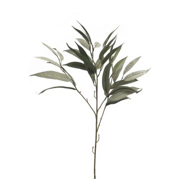 Dekozweig Mango WENLIAN, grün-grau, 75cm