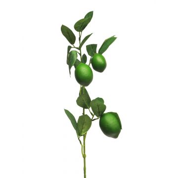 Deko Zweig Limette XIALIN mit Früchten, grün, 75cm
