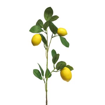 Deko Zweig Zitrone XIALIN mit Früchten, gelb, 75cm