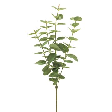 Künstlicher Zweig Eukalyptus MINJIA, grün, 65cm