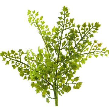 Deko Pflanze Frauenhaarfarn SHUMING, Steckstab, grün, 30cm
