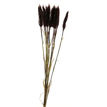 Künstlicher Bund Weizen YANGMEI, burgunderrot, 55cm