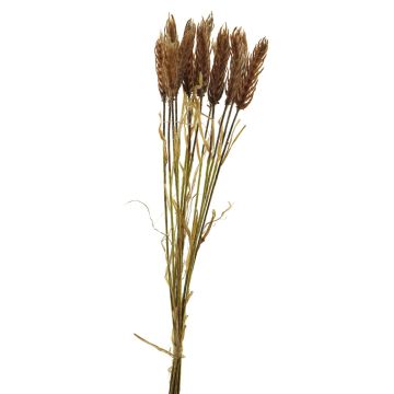 Künstlicher Bund Weizen YANGMEI, pfirsich, 55cm
