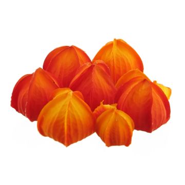 Künstliche Physalis XUEROU, 10 Stück, orange-gelb