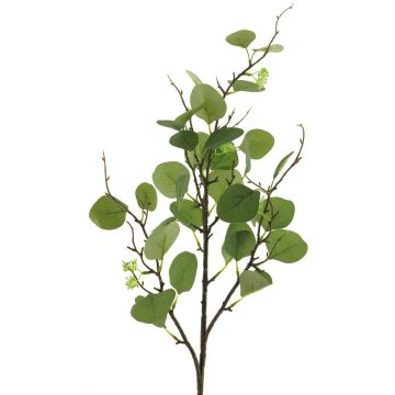 Dekozweig Eukalyptus YURUO mit Blüten, grün, 90cm