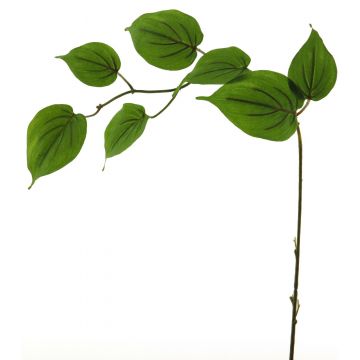 Dekozweig Hartriegel SHUNNAN, grün, 75cm