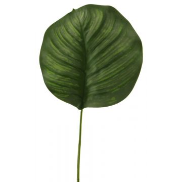 Kunstblatt Calathea Orbifolia ZICHEN, grün, 65cm
