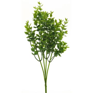 Dekokraut Eukalyptus MINXIA, Steckstab, grün, 35cm