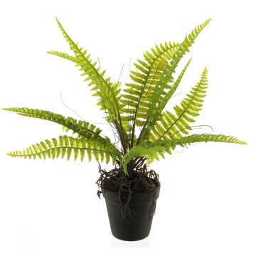 Deko Pflanze Boston Farn LINGLAN, Dekotopf, Wurzeln, grün, 40cm
