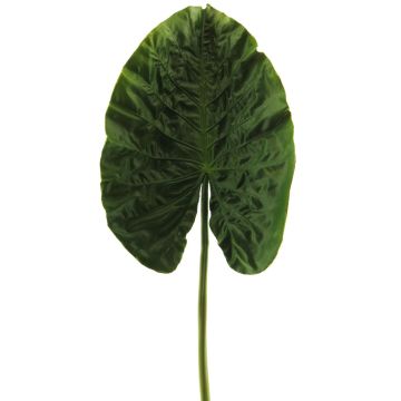 Deko Blatt Alocasia Odora HAOYUE, grün, 75cm