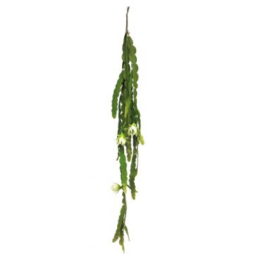 Deko Blattkaktus Hänger HUALIAN mit Blüten, Steckstab, creme, 100cm