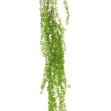 Deko Hänger Senecio SHUANG auf Steckstab, grün, 110cm