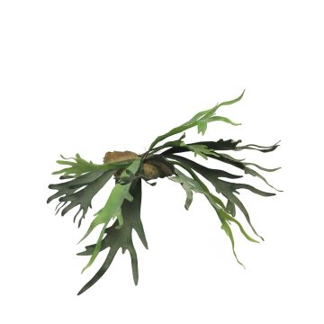Fake Pflanze Hirschfarn KONGXI auf Steckstab, grün, 50cm
