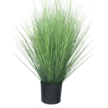 Deko Gras Rutenhirse YAMIN, grün, 60cm