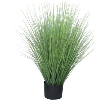 Deko Gras Rutenhirse YAMIN, grün, 75cm