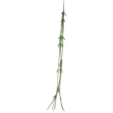 Dekohänger Rhipsalis MINYAN, Steckstab, grün, 105cm