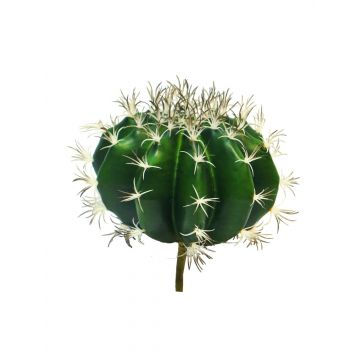 Deko Kaktus Schwiegermutterstuhl TONGNA, Steckstab, grün, 18cm
