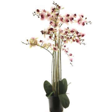 Kunstblume Phalaenopsis Orchidee CHENXU, rosa-creme, 110cm