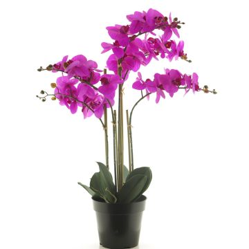 Kunstblume Phalaenopsis Orchidee CHENXU, pink, 60cm