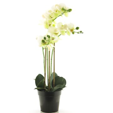 Kunstblume Phalaenopsis Orchidee CHENXU, weiß, 55cm