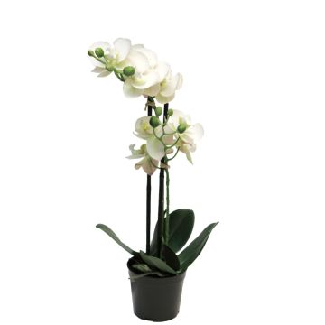 Kunstblume Phalaenopsis Orchidee CHENXU, weiß, 50cm